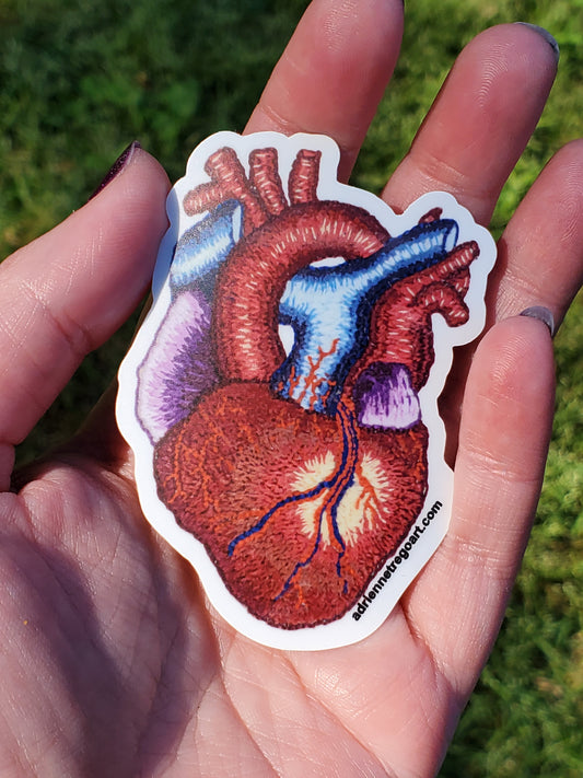 Anatomical Heart, Sticker
