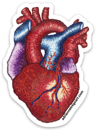 Anatomical Heart, Sticker